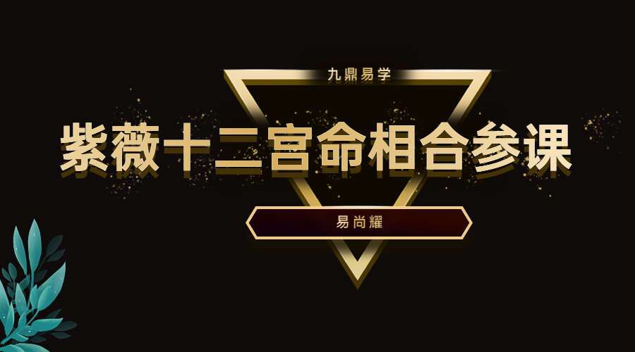 易尚耀 十二宫命相合参课 视频15集 百度网盘分享（九鼎易学）