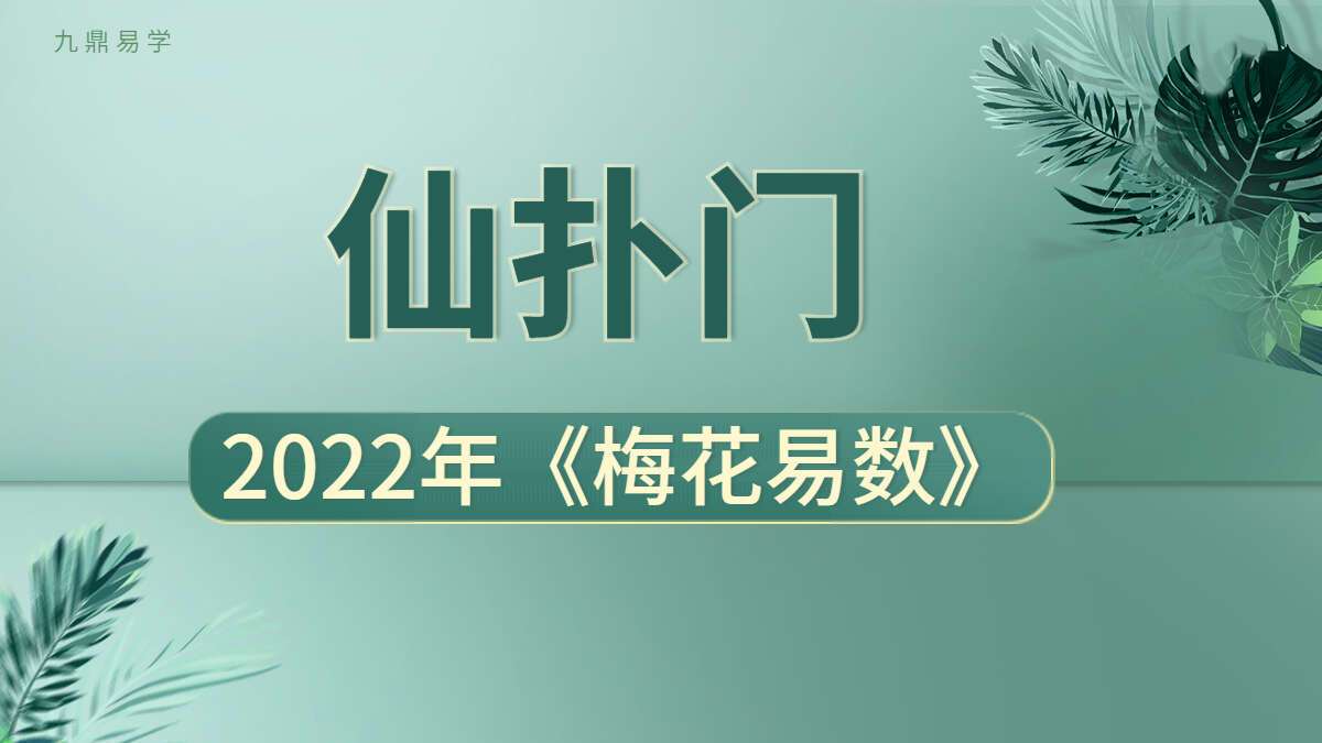 仙扑门最新22年《梅花易数》全集