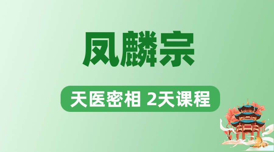 凤麟宗 天医密相 2天课程 视频17集+2集录音+文档 百度网盘分享