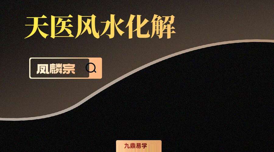 凤麟宗 天医风水化解 风水中药化解 录音+课件 百度网盘分享