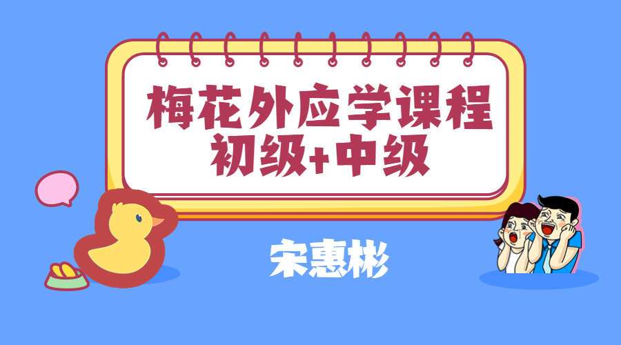 宋惠彬 梅花外应学课程 初级+中级 视频共99集 百度网盘分享