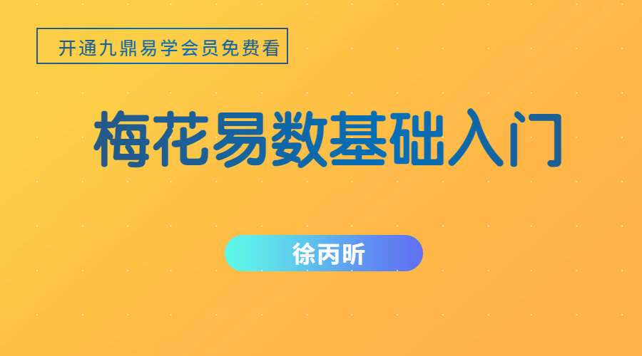 徐丙昕梅花易数课程 梅花易数基础入门课程 视频26集