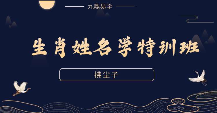 拂尘子第一期生肖姓名学特训班课程 5天视频5集 （九鼎易学）