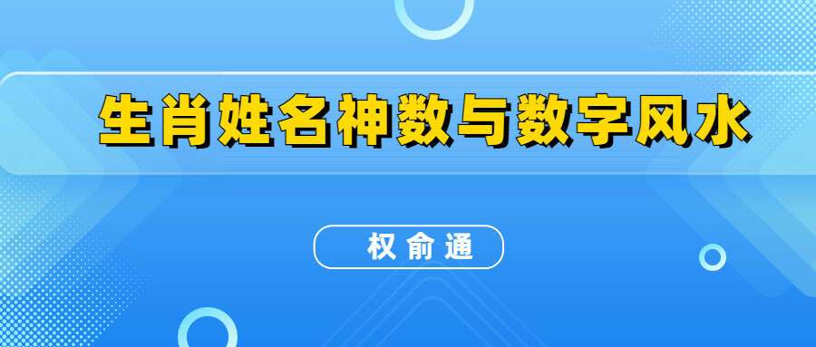 权俞通生肖姓名神数与数字风水研修班 视频50集 百度网盘分享(九鼎易学)