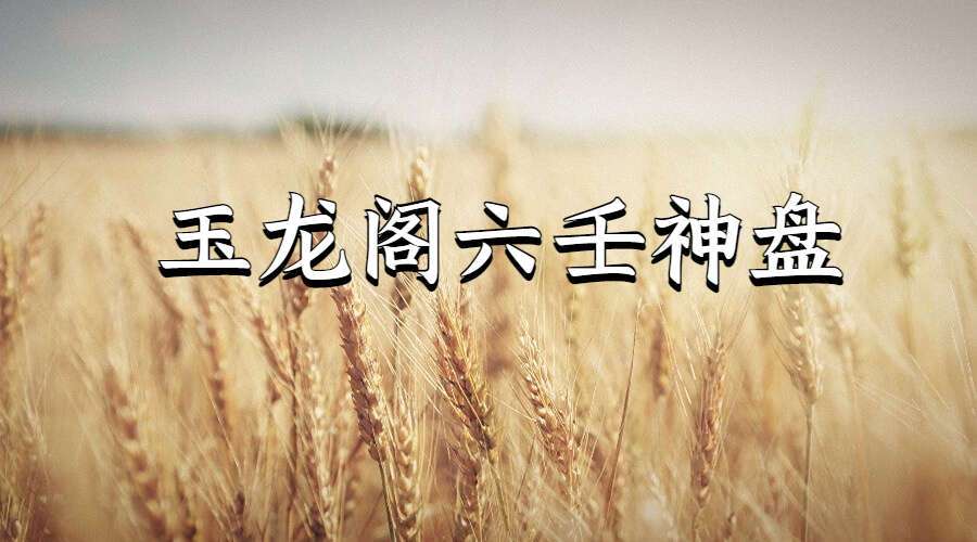 玉龙阁六壬神盘 视频3集 百度网盘分享（九鼎易学）