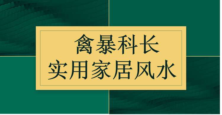 禽暴科长实用家居风水视频24集+课件