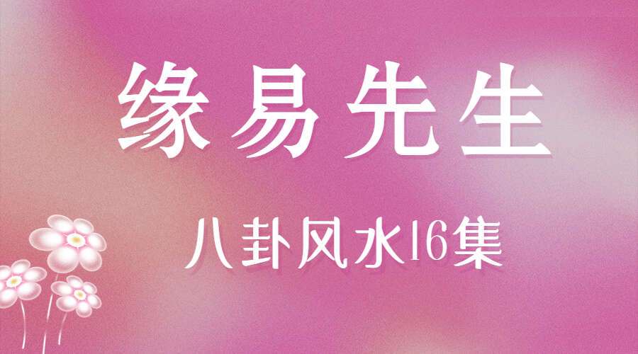 Y226001 缘易先生风生水起 16集视频全集（九鼎易学）