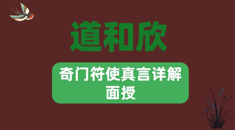 道和欣奇门符使真言详解面授录像等（符使断局法）（九鼎易学）