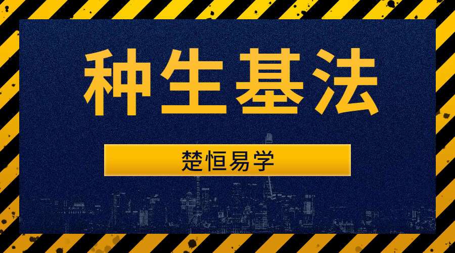 楚恒种生基真传大法授课  （九鼎易学）