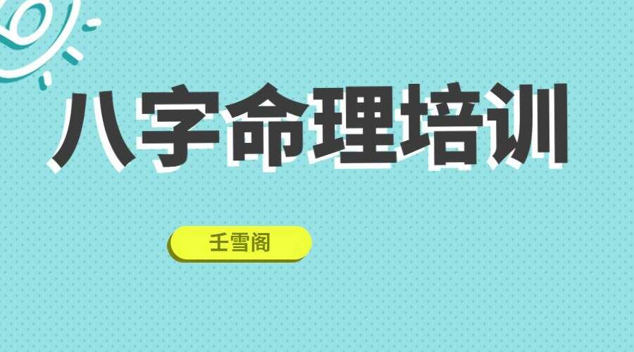 壬雪阁《八字命理培训》40集视频+课件