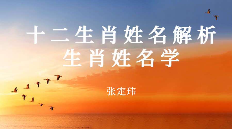 张定玮十二生肖姓名解析 生肖姓名学 视频12集 （九鼎易学）