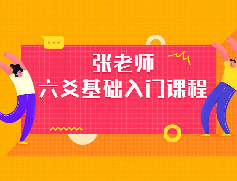 民间六爻实战高手张老师 六爻基础入门课程 视频20集