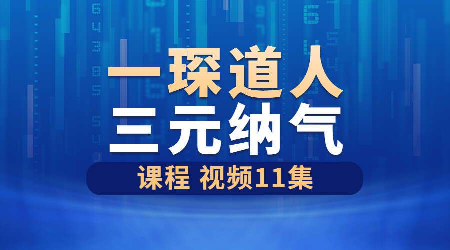一琛道人三元纳气课程 视频11集
