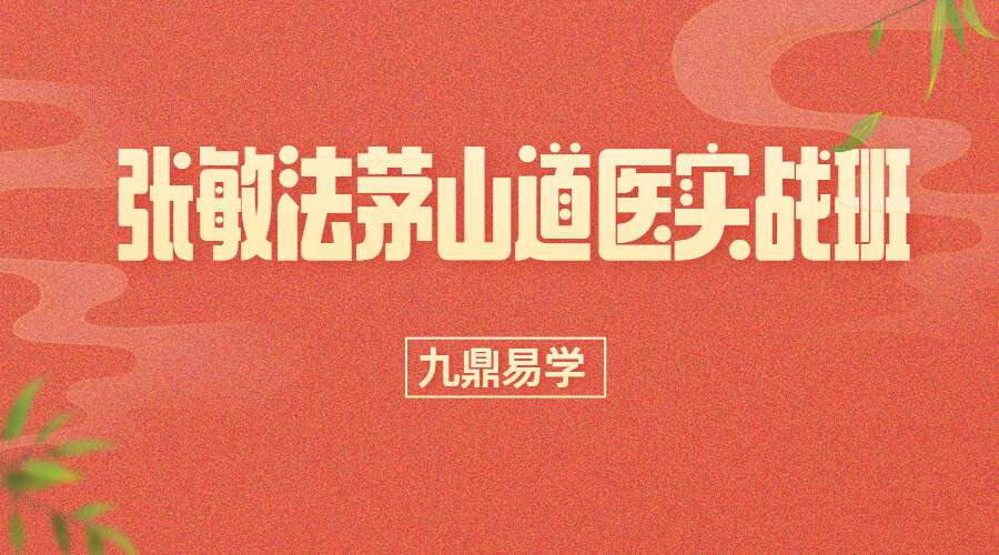 张敏法茅山道医实战班6集视频 (九鼎易学)