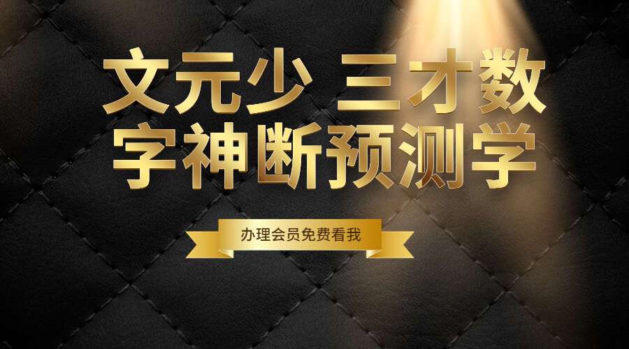 文元少 三才数字神断预测学视频 16集（九鼎易学）