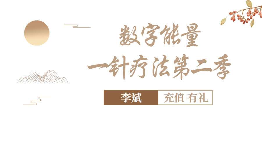 李斌数字能量一针疗法第二季 （九鼎易学）