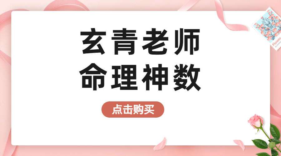 玄青老师命理神数（初级+高级）42集视频（九鼎易学）