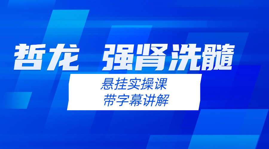 哲龙 强肾洗髓 线上15集 悬挂实操课 带字幕讲解（九鼎易学）