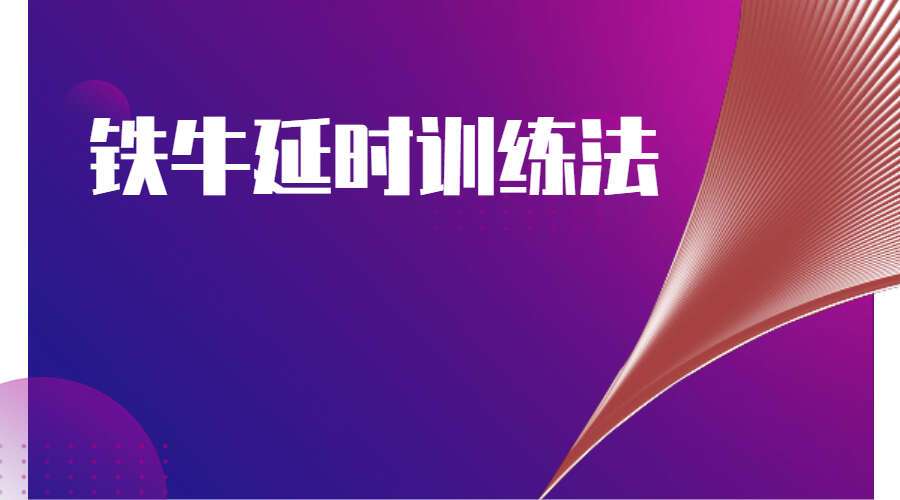 铁牛延时训练法-27集视频课程（九鼎易学）