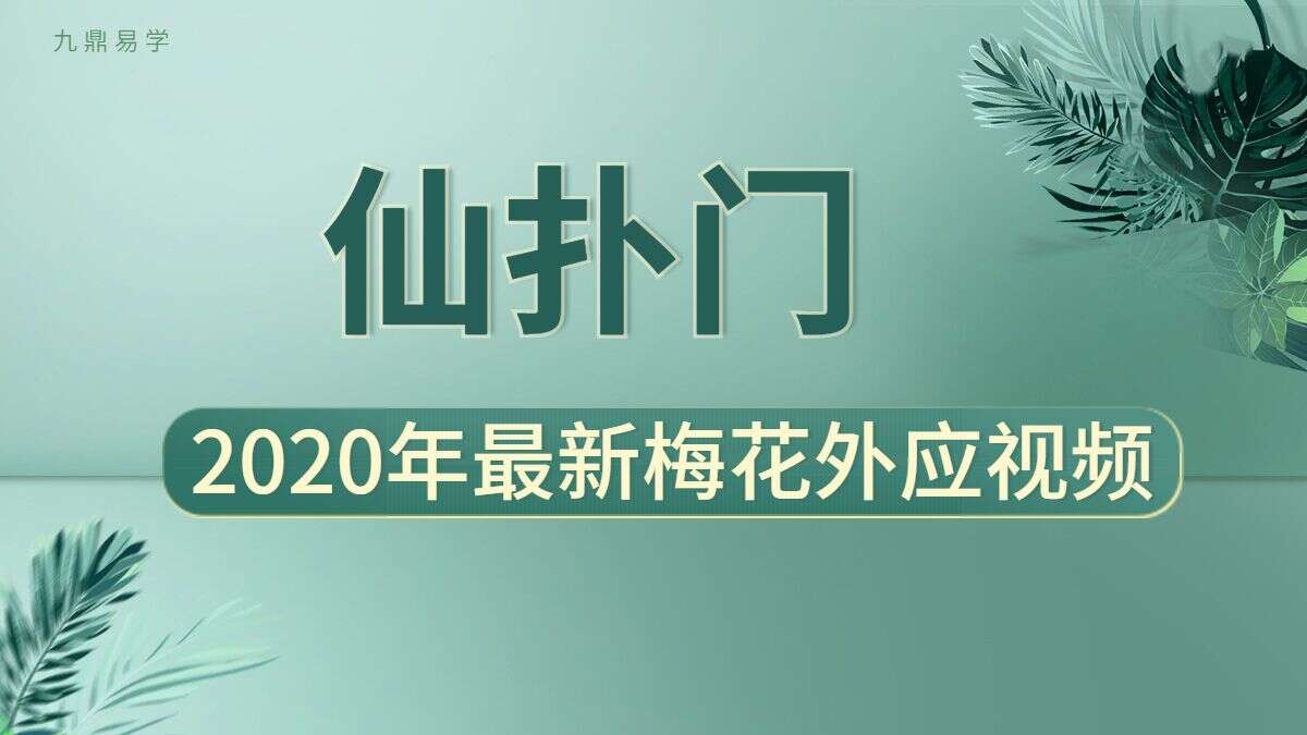 仙扑门2020年最新梅花外应视频20集含测字术应用讲解（九鼎易学）