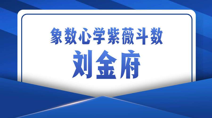 Y2211-14 刘金府象数心学紫薇斗数 视频+录音+文档(九鼎易学)