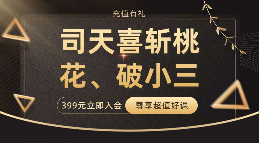司天喜斩桃花、破小三,视频1集+文档（九鼎易学）