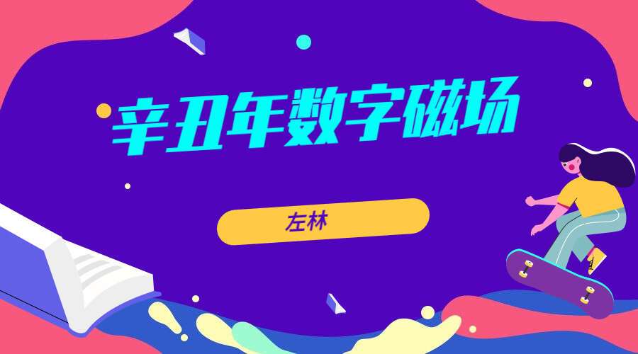 左林《辛丑年数字磁场 · 网络课》视频 48集（九鼎易学）