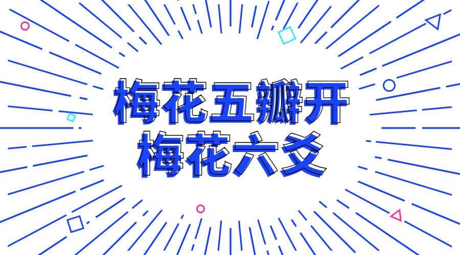 梅花五瓣开《梅花六爻》视频24集（九鼎易学）