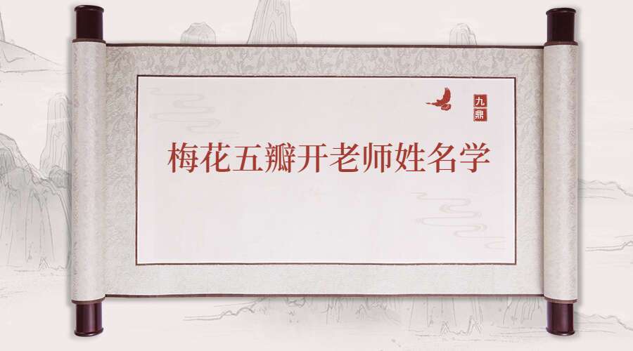 梅花五瓣开老师姓名学教学视频55集