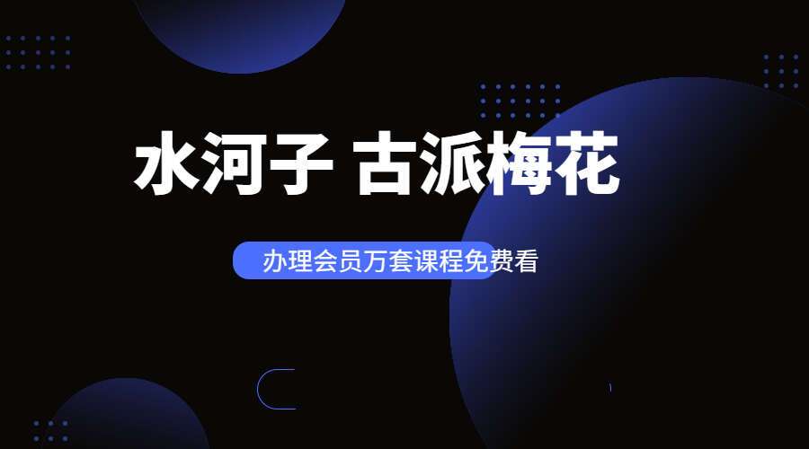 水河子 古派梅花 录音+文档（九鼎易学）