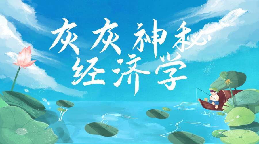 灰灰神秘经济学 7集视频（九鼎易学）