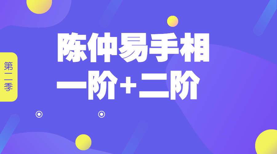 陈仲易手相 一阶+二阶（九鼎易学）