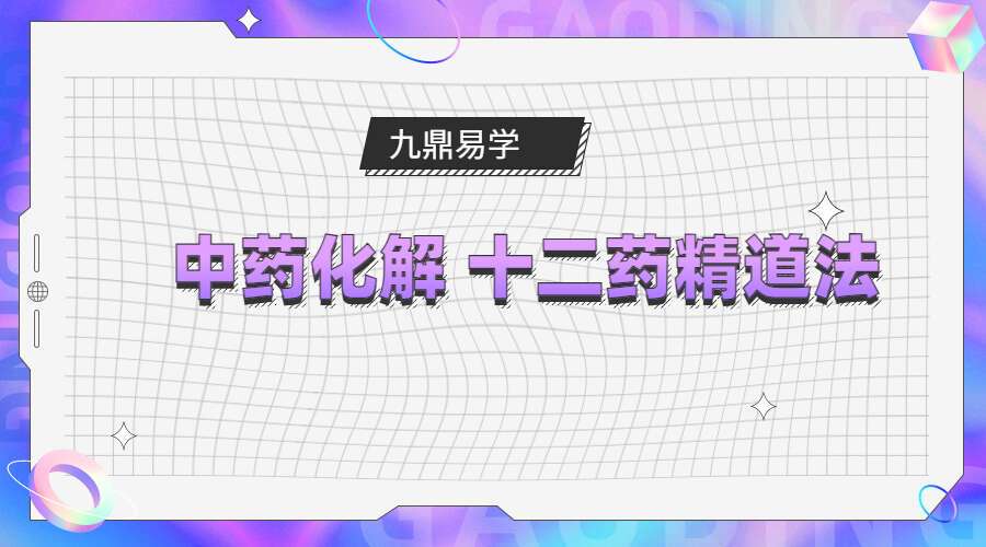 中药化解 十二药精道法（九鼎易学）