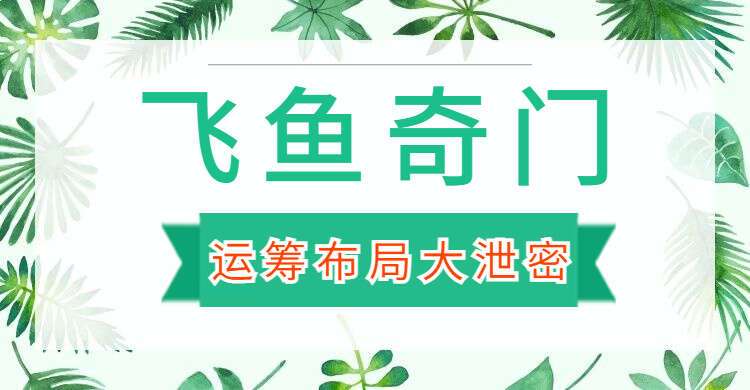 飞鱼奇门运筹布局大泄密（九鼎易学）