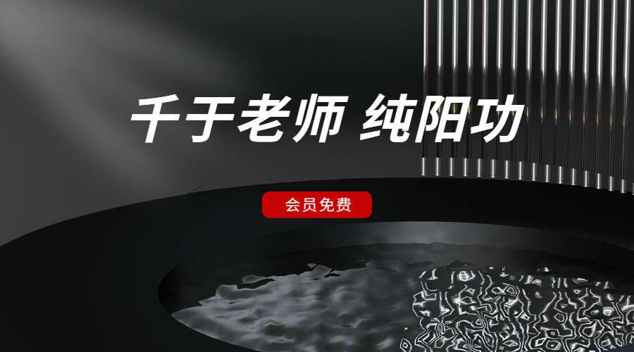 千于老师 纯阳功 一二三重合集（九鼎易学）