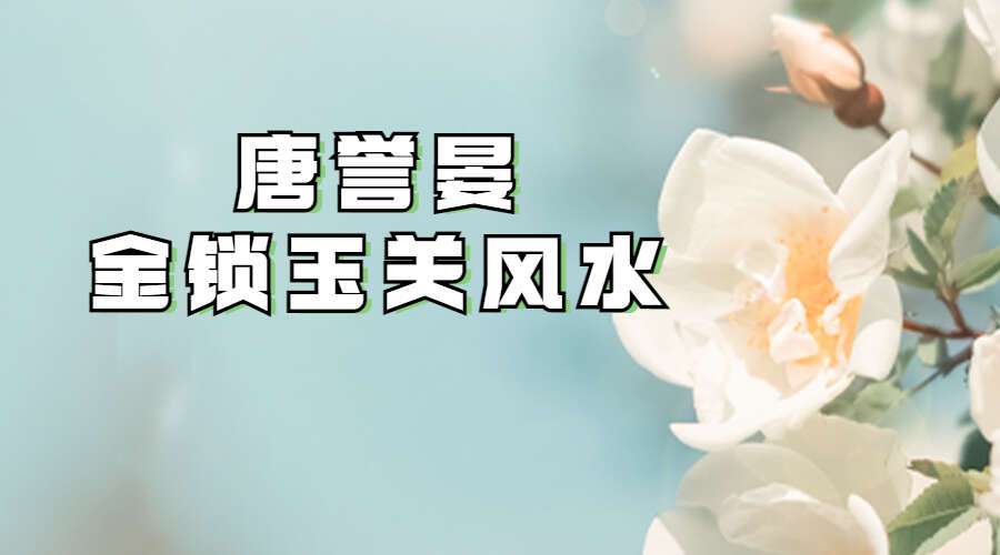 唐誉晏金锁玉关风水(过路阴阳风水)铁口直断 总共42集视频（九鼎易学）