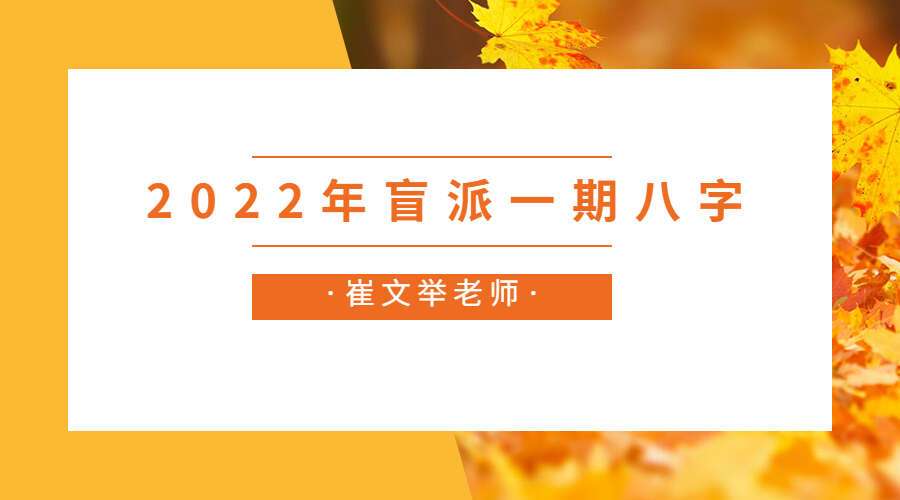 崔文举老师2022年盲派一期八字10课视频+录音+文字资料（九鼎易学）