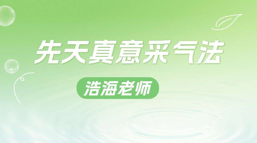 浩海老师先天真意采气法视频+音频+图+文档（九鼎易学）