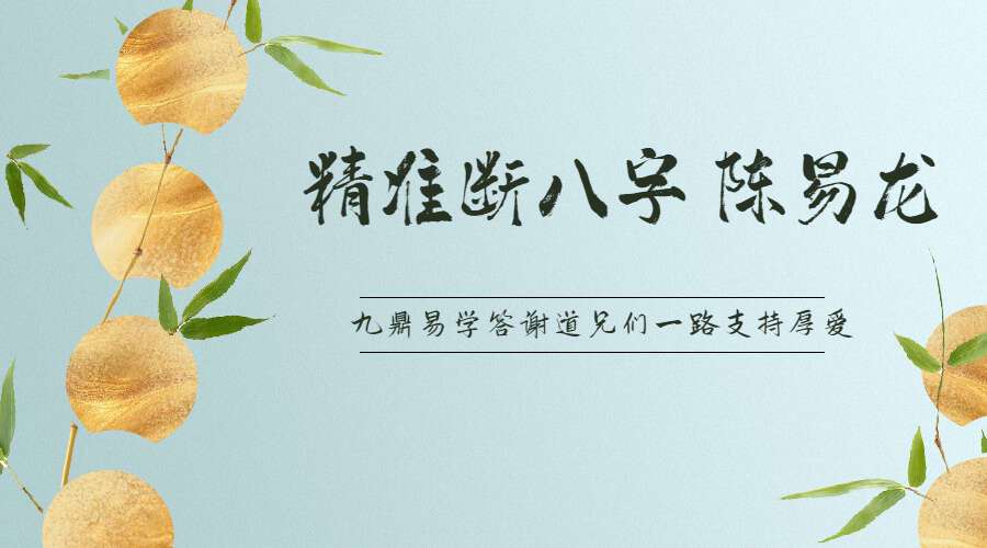 精准断八字 陈易龙 电子书（九鼎易学）