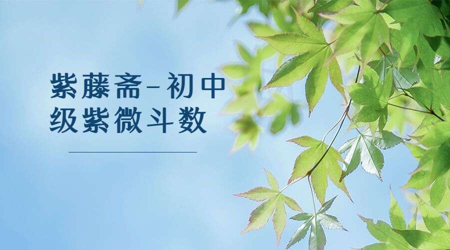 紫藤斋-初中级紫微斗数  录音+文档（九鼎易学）