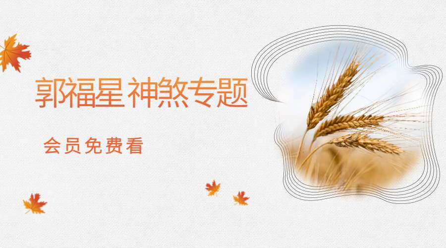 郭福星 神煞专题视频20集视频（九鼎易学）