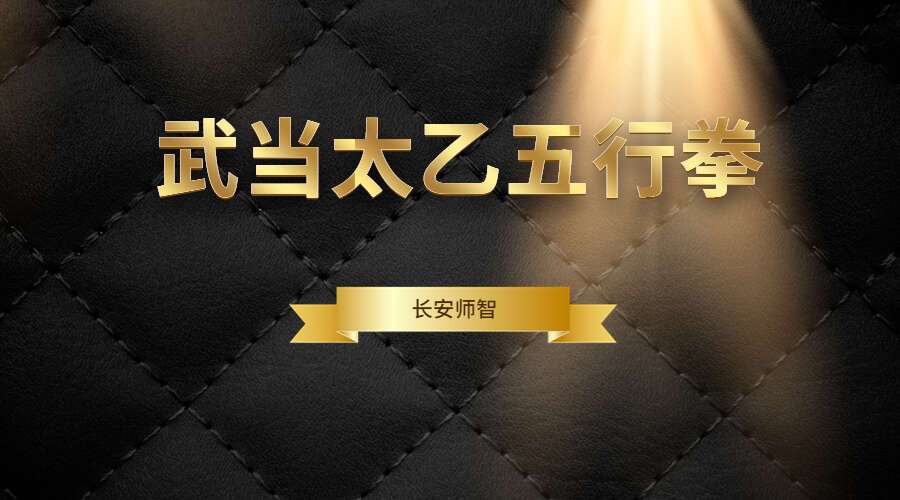 长安师智-武当太乙五行拳详细版课程16课时（九鼎易学）