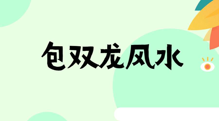 包双龙风水视频课程46集