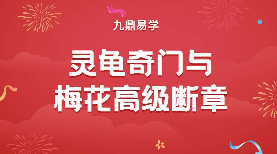 灵龟奇门与梅花高级断章 12集（九鼎易学）