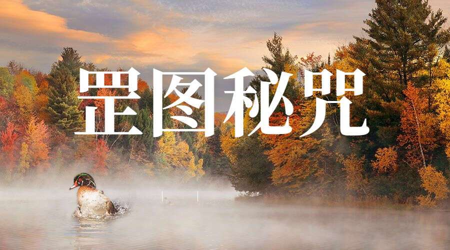 罡圖秘咒 33页 道家秘本 民国辛酉年电子版本（九鼎易学）
