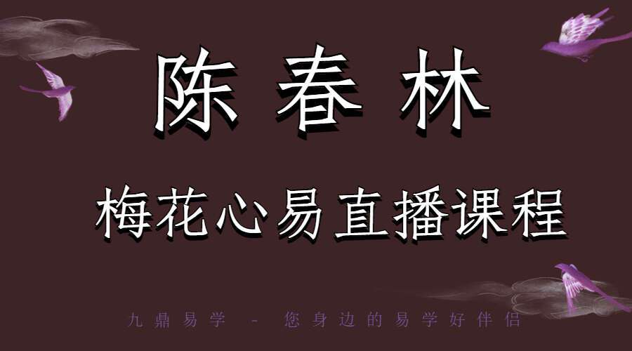 最新陈春林大师梅花心易直播课程 14集视频（九鼎易学）