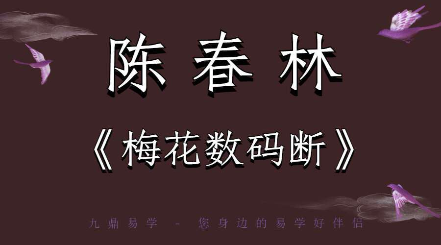 陈春林大师《梅花数码断》视频12集+配套讲义（九鼎易学）