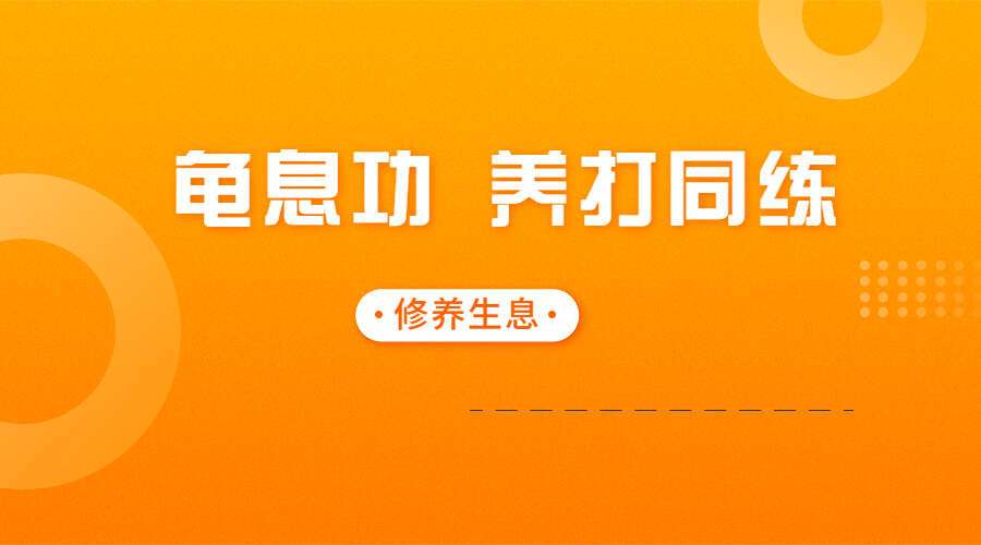 龟息功 养打同练（九鼎易学）