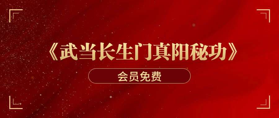陆天《武当长生门真阳秘功》视频9集