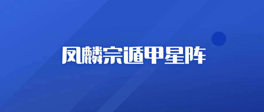 凤麟宗遁甲星阵